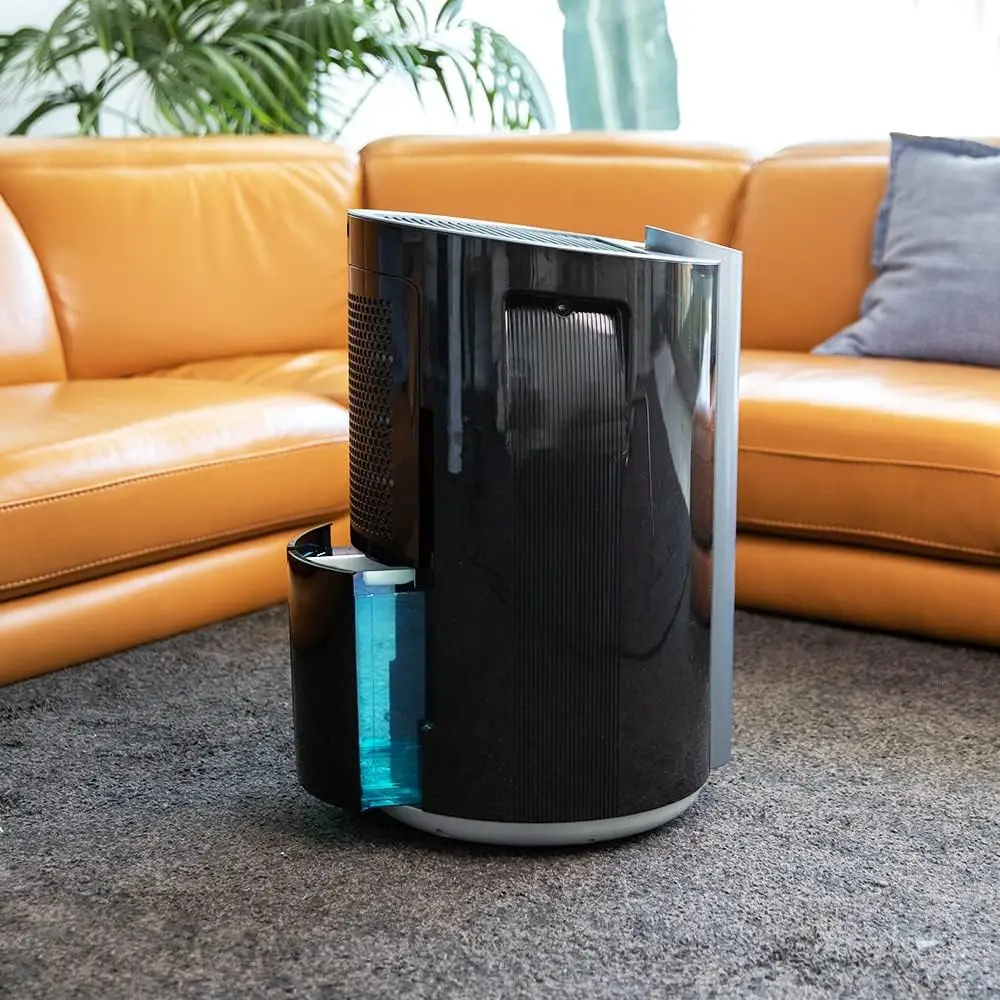 Casa con mucha humedad: BigDry 9000
